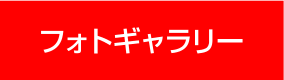 フォトギャラリー