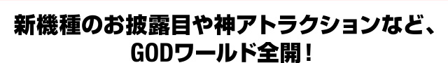 ライブ写真